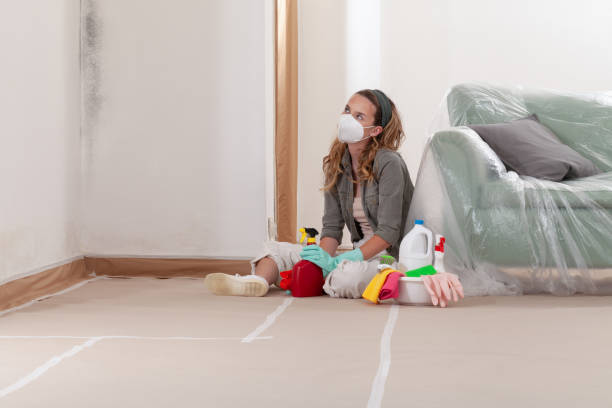 Reliable Mold Inspection contractor in Belleville, NJ by WQB Mold Removal